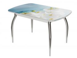 Стол обеденный Бостон триумф белая орхидея